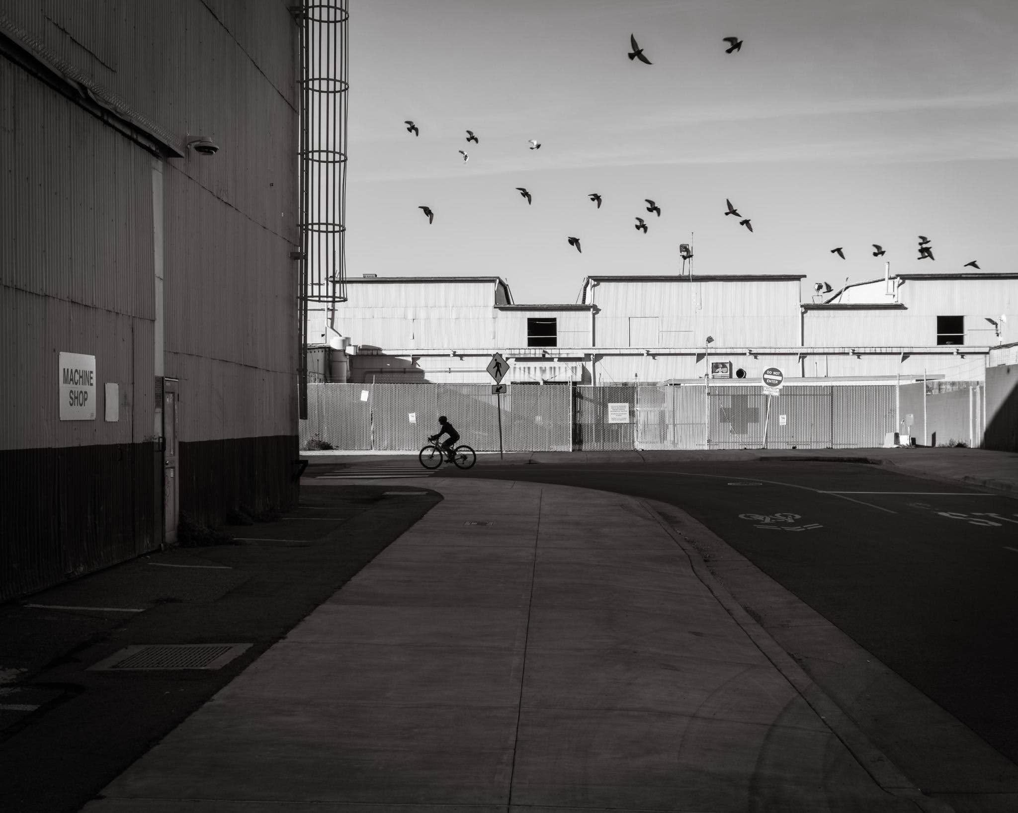 Cyclist passing warehouse with birds in flight overhead