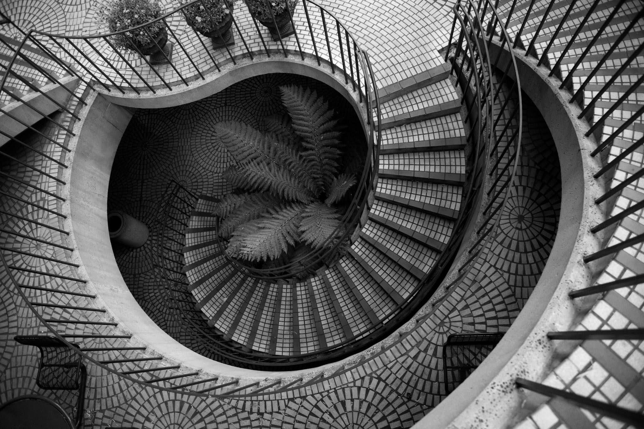 Aerial view of spiral staircase with fern at center